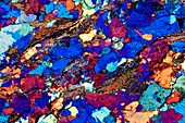 Gneiss,thin section,polarised LM