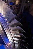 Aircraft engine fan blades