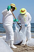 Gulf of Mexico oil spill clean-up,2010