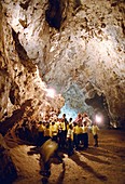 Sterkfontein cave tour