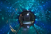 Aquarium jellyfish tunnel