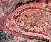 Spider crater,Australia,satellite image