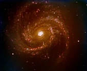 Spiral galaxy M100