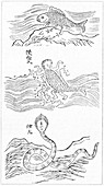 19th Century Japanese engraving