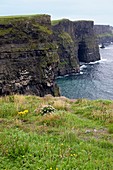 Cliffs of Moher