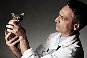 Veterinarian and kitten