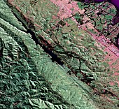 San Andreas Fault,aerial radar image