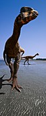Dilophosaurus wetherilii dinosaurs