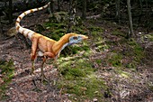 Sinosauropteryx prima dinosaur