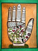 Indian palmistry map
