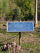 Solar panel in woodland