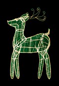 Christmas reindeer,X-ray