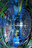 CMS detector,CERN