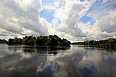 Mamiraua Reserve,Amazonia