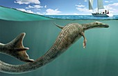 Sea serpent,Cadborosaurus willsi,