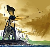 Pteranodon sternbergi,artwork