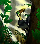 Pterosaur,Sinopterus,artwork