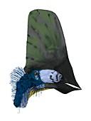 Pterosaur,Tapejara navigans,artwork