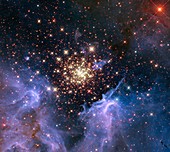 Open star cluster NGC 3603,HST image
