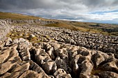 Limestone pavement,Yorkshire