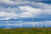 Wind turbines at Pincher Creek