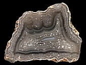 Fourth of July Butte agate