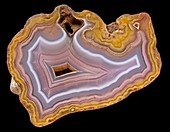 Coyamito agate