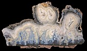 Vein agate