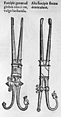 16th century forceps