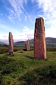 Standing stones in a field