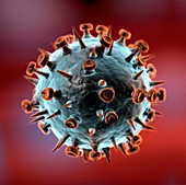 Influenza virus particle