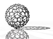 Fullerene molecule