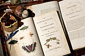 Early naturalist collecting guide books