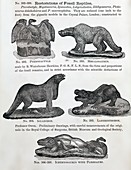 1866 Waterhouse Hawkins' model dinosaurs