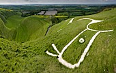 The Uffington bronze age white horse