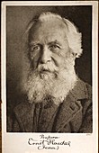 1910 Ernst Haeckel Photographic Portrait
