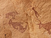 Pictograph detail of a Lion attack,Libya