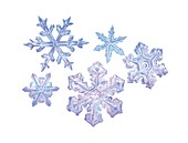 Snowflakes,artwork