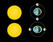 Neap and spring tides,diagram