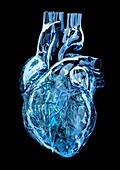 Heart,artwork