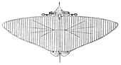 19th Century monoplane design