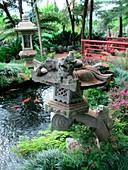 Japanese garden,Madeira