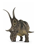 Diabloceratops dinosaur