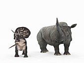 Zuniceratops dinosaur and rhino