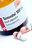 Temodal chemotherapy drug