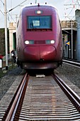 High-speed train,Belgium