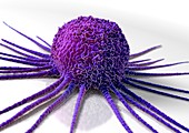 Cancer cell,conceptual artwork