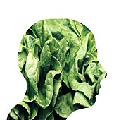 Vegetarianism,conceptual image
