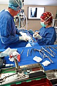 Veterinary surgery
