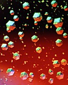 Insulin crystals,light micrograph